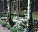 Brunnsparken i Ronneby