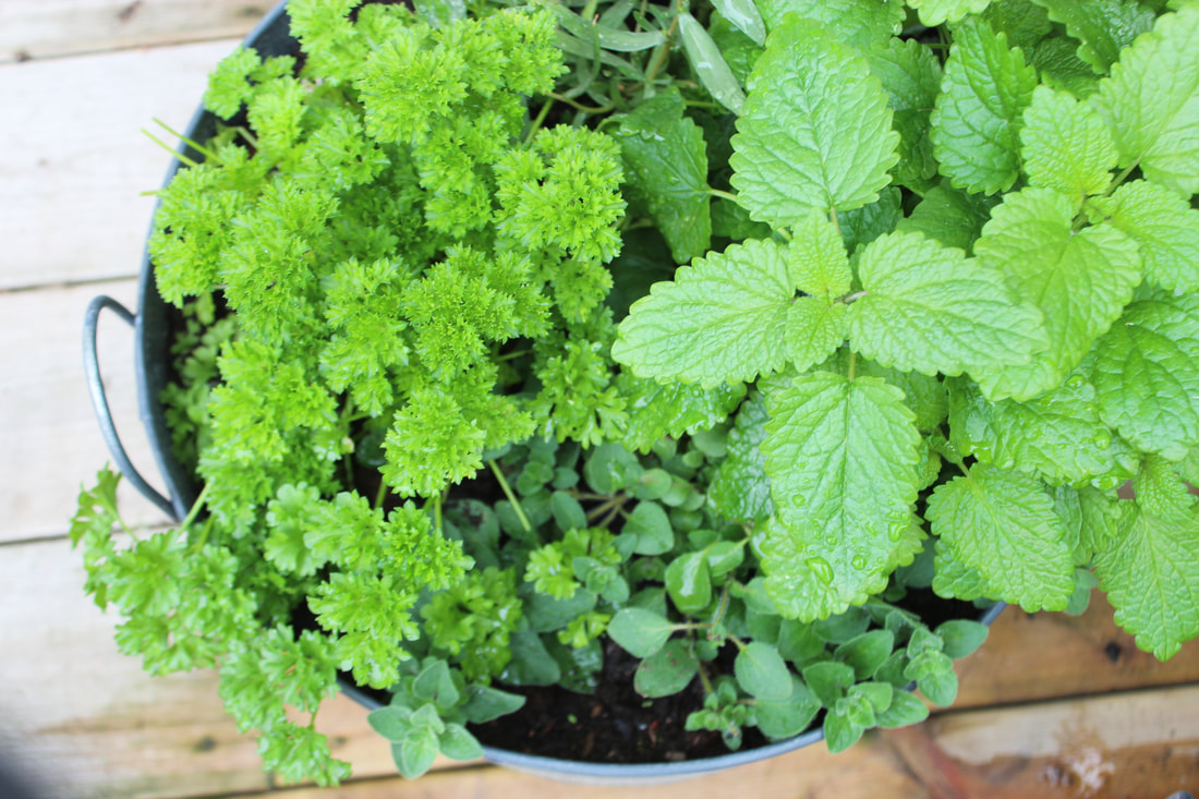 Diana xonim tersiz porno Ikki kaltak ehtiros bilan va shilqimlik bilan soradi